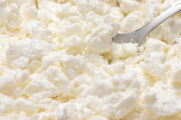 Cottage cheese close-up