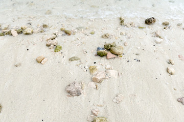 The underwater stones