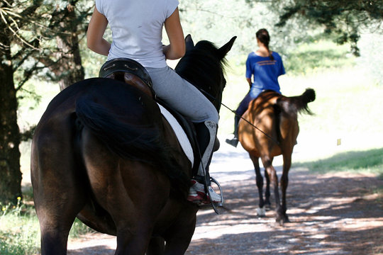 horse ride - country