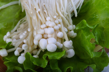 Enoki mushroom