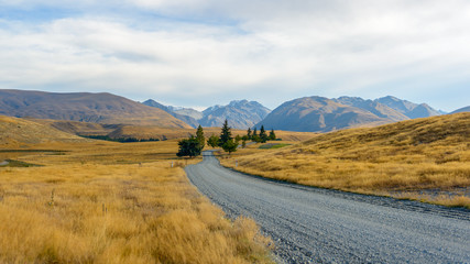 Landscape of New Zealand