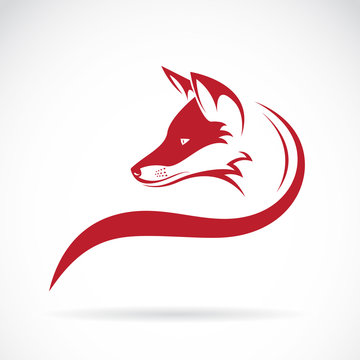 Vector of a fox head on white background. Animals.