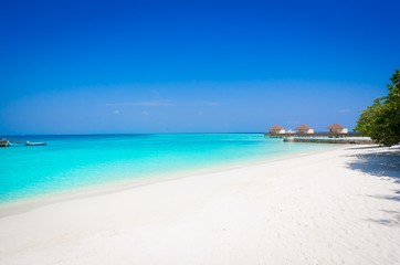 Maldives,  tropical sea background!