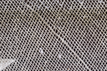 Fishing Net