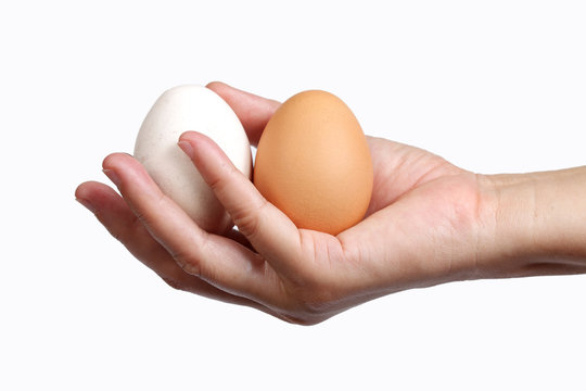hand with two eggs isolated on white background.