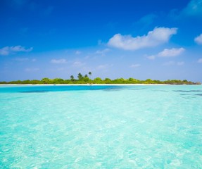 Maldives,  tropical sea background 2!
