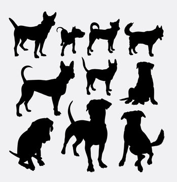 Dog pet animal silhouette 12. Good use for symbol, logo, web icon, mascot, sign, sticker design, or any design you wany. Easy to use.
