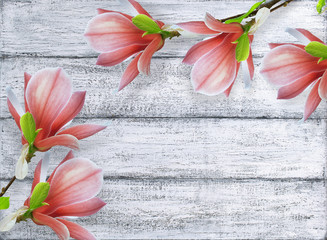 Magnolia flowers on background of shabby wooden planks