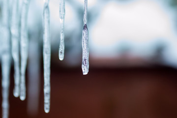 icicle frost ice 