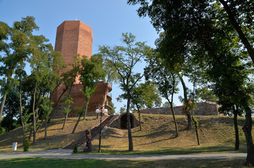Mysia Wieża na wzgórzu zamkowym, Kruszwica, Polska © Dejan Gospodarek