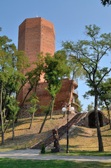 Mysia Wieża, Kruszwica, Polska © Dejan Gospodarek