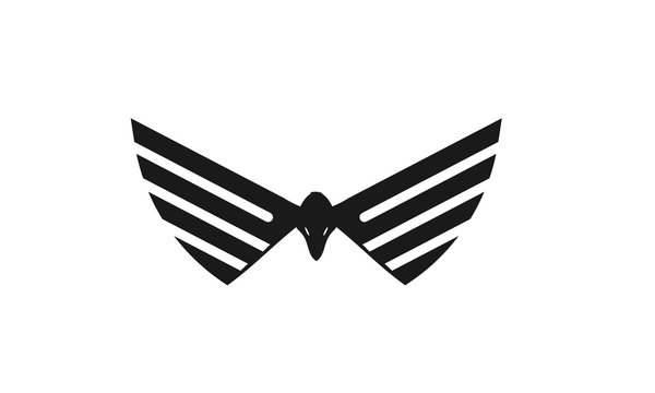 Elements of the concept logo eagles' wings to fly colorful as letters and initials in 3D logo and a logo or a color flat-panel