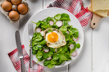 Fresh spinach, radish salad with fried egg