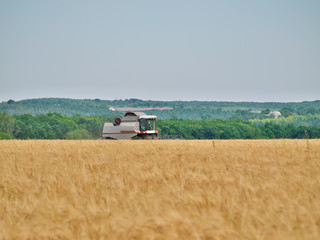 Obraz premium Harvester in the field
