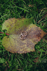  luxury wedding rings with stylish decoration near them