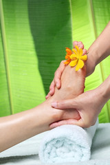 foot massage with green leaf background.
