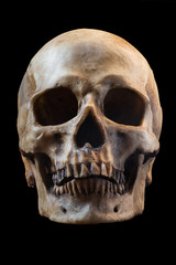Human skull on black background - obrazy, fototapety, plakaty
