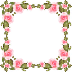 Pink roses on a white background 