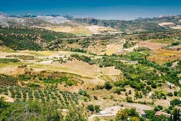 Fototapeta na wymiar Summer Andalusian Lanscape Near Ronda, Province Of Malaga, Spain