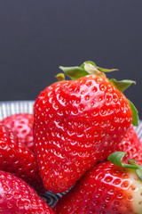 big red strawberry in a plate with white and black stripes, contrast color image with space for text. sophisticated look berries.