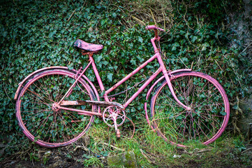 Fototapeta na wymiar Old abandoned vintage bicycle painted pink in the countryside 