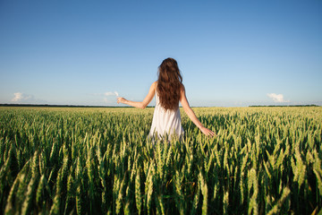 beautiful woman in green wheat field