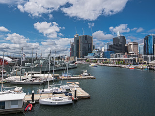 Fototapeta na wymiar Darling Harbor during the day