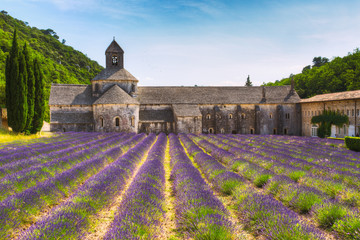 Ancient monastery Abbey Notre-Dame de Senanque in Vaucluse, France - obrazy, fototapety, plakaty