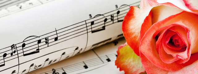 Naklejka premium Rose and note