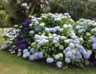 Jardin du Béarn