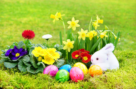 Ostern, Easter, Osternest im Garten mit Fr&uuml;hlingsblumen, Ostereier, Osterhase, Copyspace, springflowers, eastereggs, easterbunny, copyspace