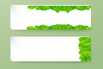 Obraz premium White rectangles with green leaves vector