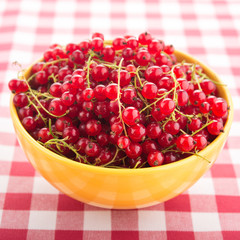 Fresh currant fruit in yellow plate