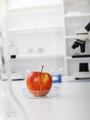 Chemical Laboratory of the Food supply.Food in laboratory, dna modify