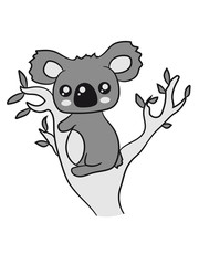 sweet little cute koala climbs tree eucalyptus tree