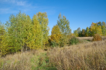 Fototapeta premium Autumn landscape in Sunny day
