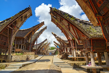 Tongkonan traditional rice barns and house