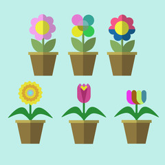 flowers