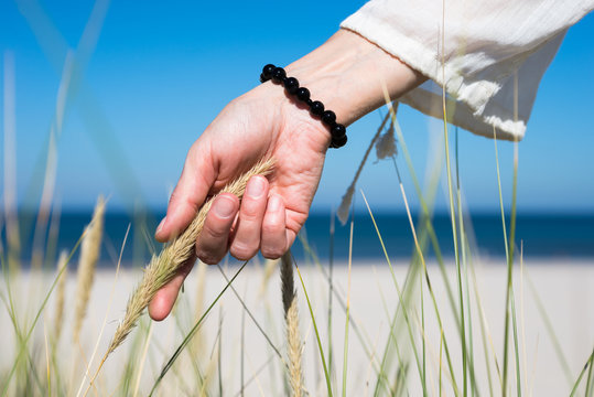 Woman's hand sliding through dune grass on sunny day