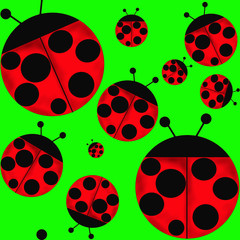 ladybugs