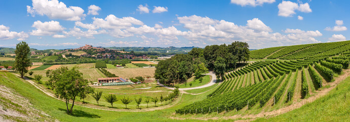 Green fields and vineyards of Italy.