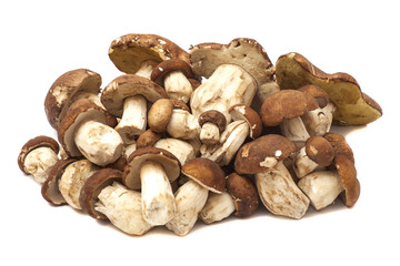 mushrooms isolated on white background