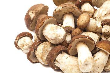 mushrooms isolated on white background