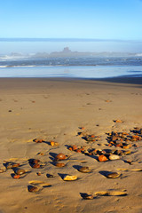 Legzira Beach, Morocco, Africa