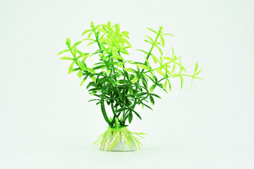 Plastic Seaweed on White Background