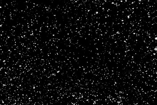 Real falling snow on black background for use as a texture