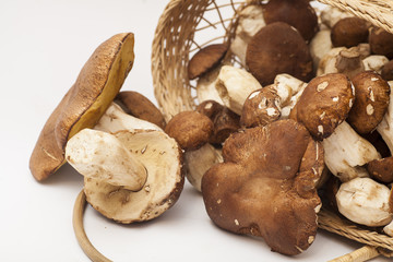 Mushrooms in a wooden basket  on white background