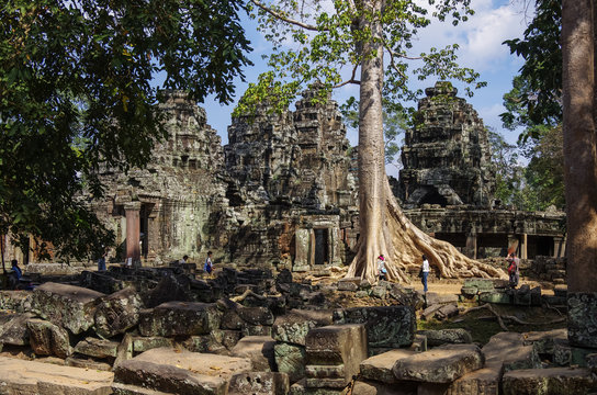 Ta Prohm temple, Angkor area, Siem Reap, Cambodia