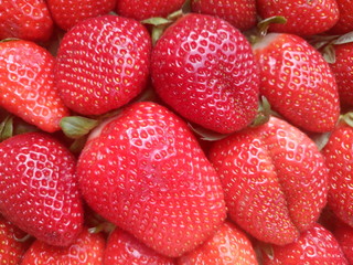 Directly above shot of fresh strawberries for sale