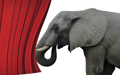 An elephant opening curtains at the circus - humor idea